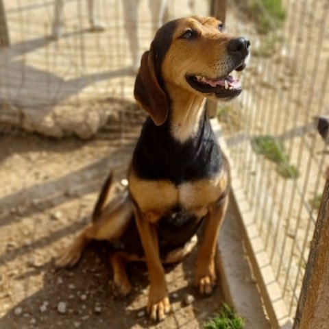 Lida
