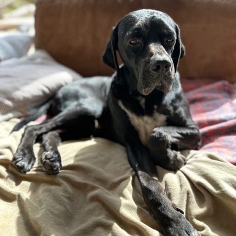 Zeus